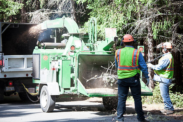 Best Seasonal Cleanup (Spring/Fall)  in Stephenville, TX